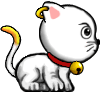 Pet mèo trắng đuôi vàng