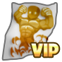 Mảnh thẻ VIP